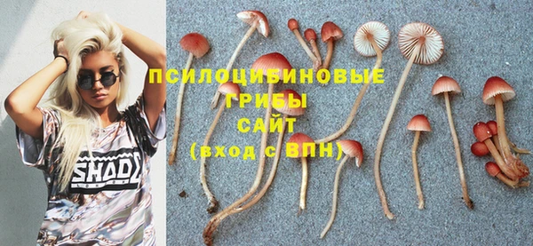 apvp Балахна