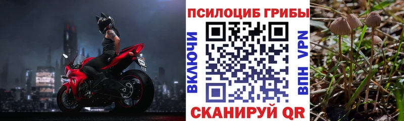 Галлюциногенные грибы прущие грибы  купить наркоту  Калининец 