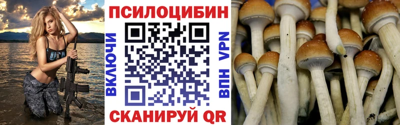 Галлюциногенные грибы GOLDEN TEACHER Калининец